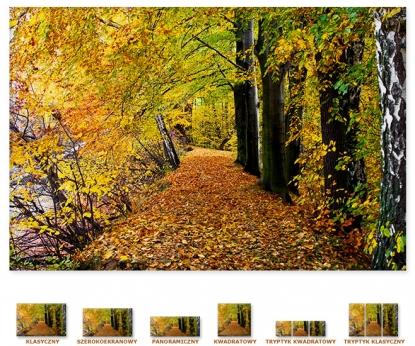 Jesienny park [Obrazy / Kwiaty, Drzewa, Rośliny] 